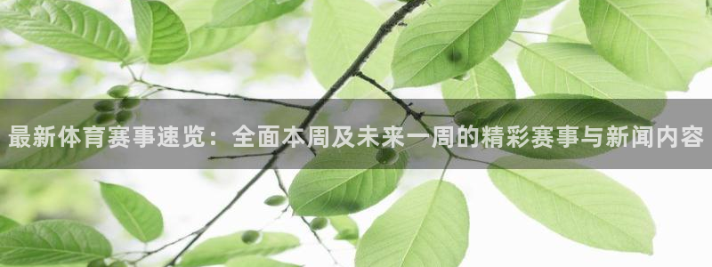 jrkan.com直播体育：最新体育赛事速览：全面本周及未来一周的精彩赛事与新闻内容