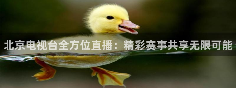 jrkan直播篮球体育网：北京电视台全方位直播：精彩赛事共享无限可能