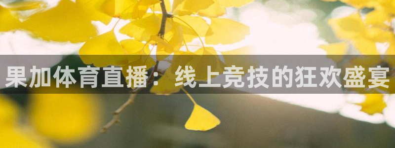 jrkan直播篮球：果加体育直播：线上竞技的狂欢盛宴