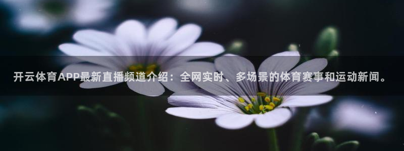 jrkan直播体育网nba