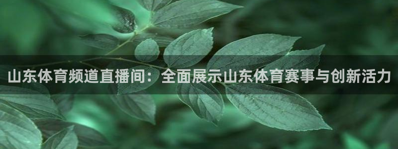 jrkan直播免费体育直播：山东体育频道直播间：全面展示山东体育赛事与创新活力