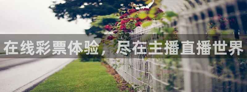 jrkan直播nba直播：在线彩票体验，尽在主播直播世界