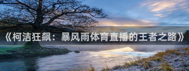 jrkan直播：《柯洁狂飙：暴风雨体育直播的王者之路》