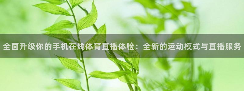 jrkan直播体育网nba：全面升级你的手机在线体育直播体验：全新的运动模式与直播服务