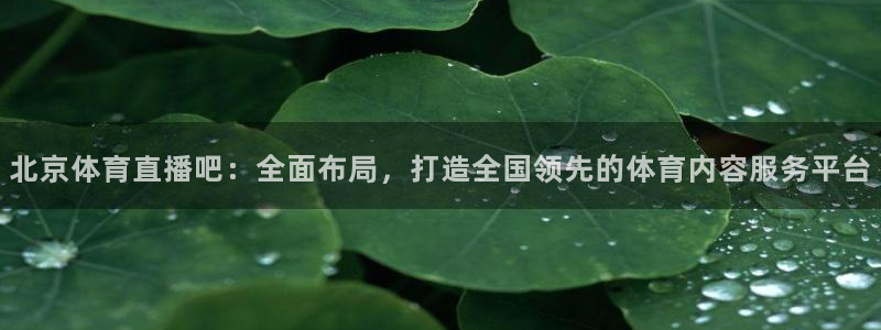 篮球直播jrkan