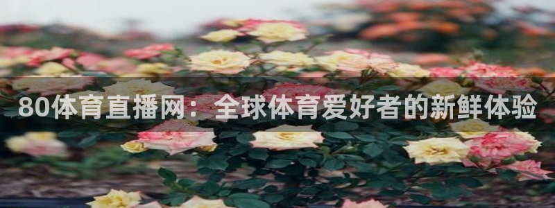 jr看球直播网：80体育直播网：全球体育爱好者的新鲜体验
