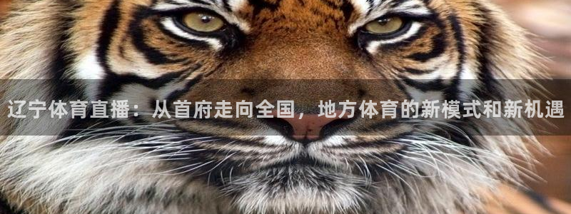 jrkan纬来直播nba：辽宁体育直播：从首府走向全国，地方体育的新模式和新机遇