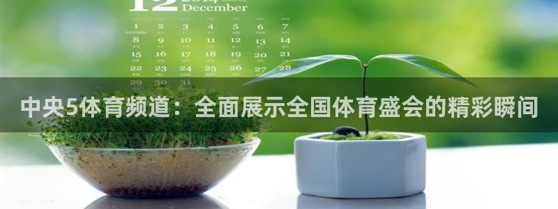 jrkankan体育直播：中央5体育频道：全面展示全国体育盛会的精彩瞬间